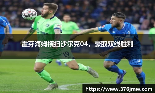 霍芬海姆横扫沙尔克04，豪取双线胜利
